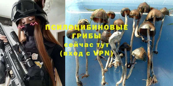 экстази Елизово