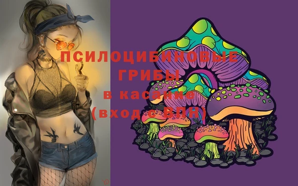 экстази Елизово
